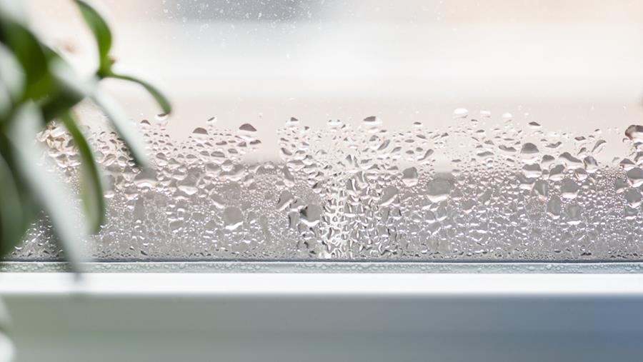 Combattez l'humidité dans votre maison pour prévenir les problèmes de santé