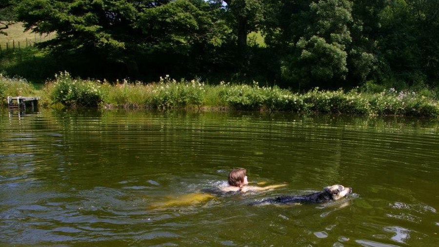 Comment poser soi-même un étang de natation?