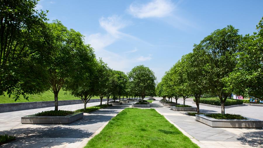 Découvrir la catégorie Jardins publics