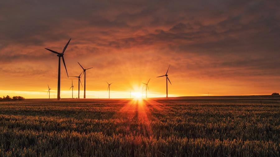 Hernieuwbare energie zal tegen eind 2030 helft van wereldwijde vraag dekken