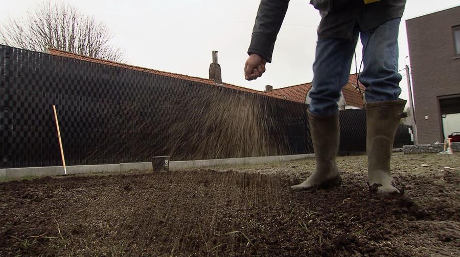 Gras zaaien: hoe ga je te werk?