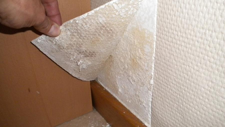 Hoe werkt u door vocht aangetaste muren af?