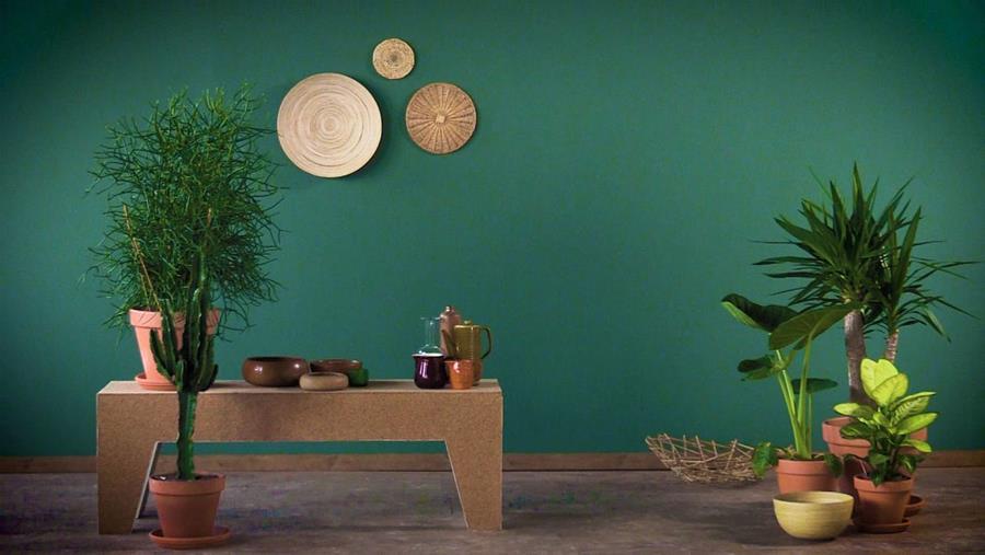 FORMATS - DECORATIE