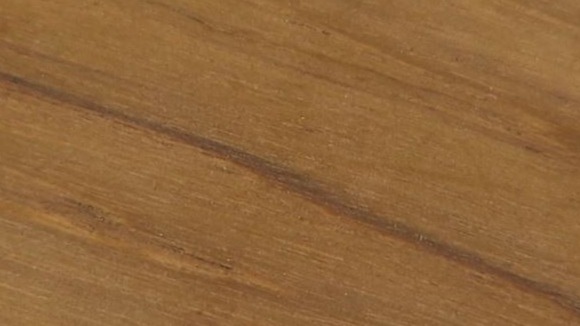 Choisir les essences de bois dur