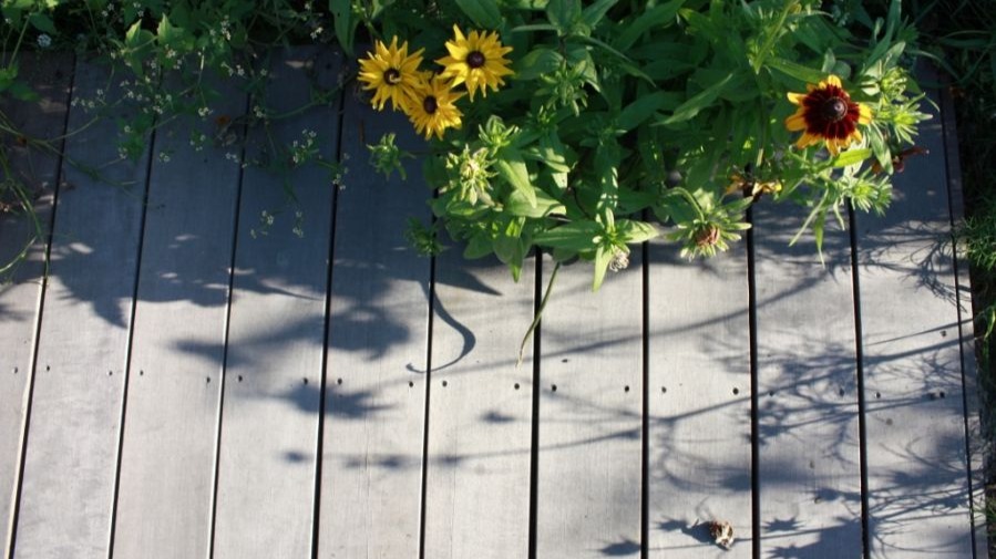 LES POSSIBILITES DE TERRASSE EN BOIS