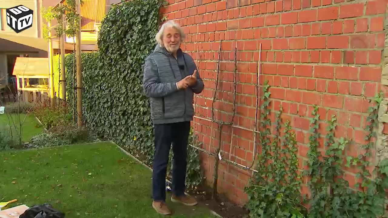 LEIFRUIT IN DE TUIN